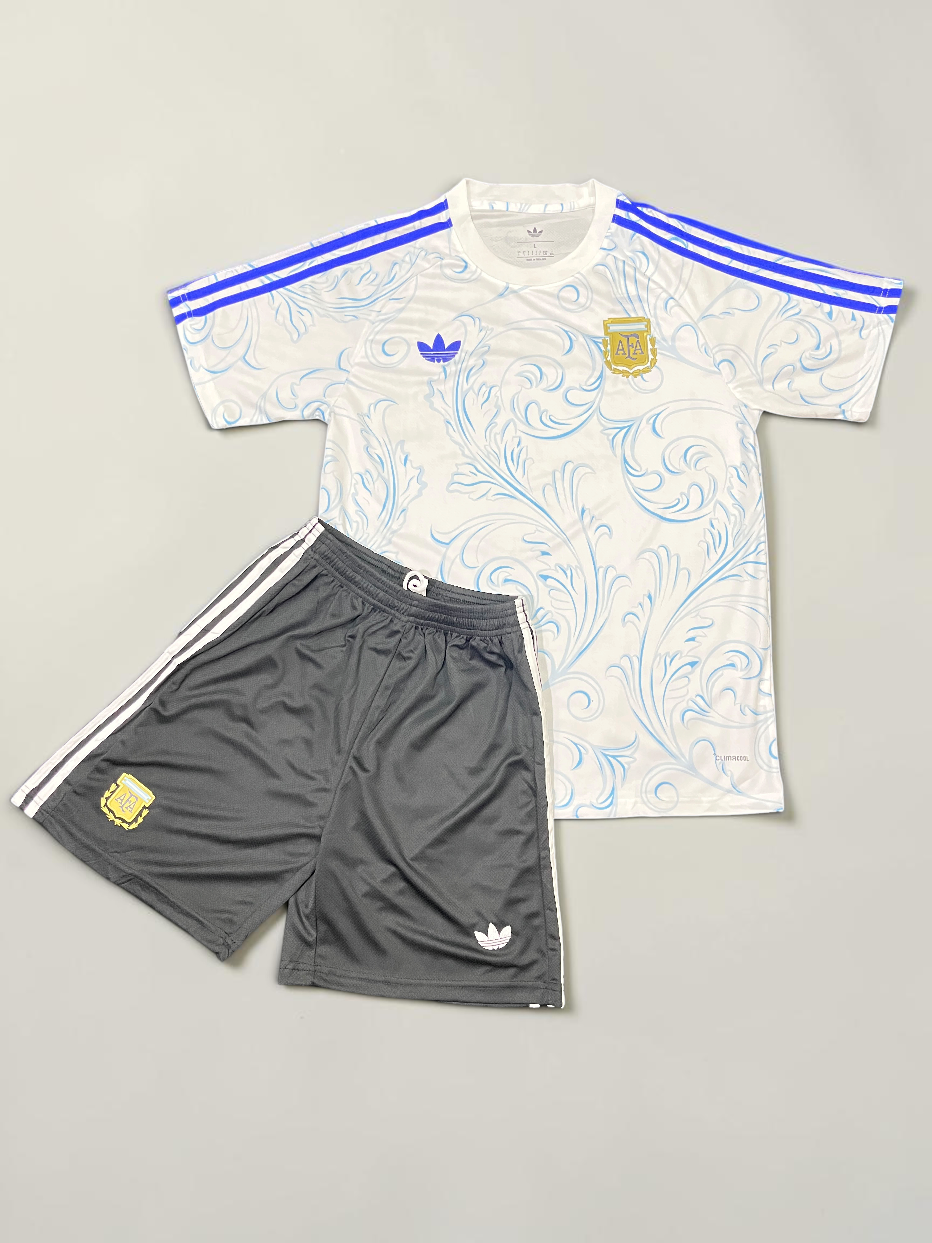 Argentina Aop 2026 AFA